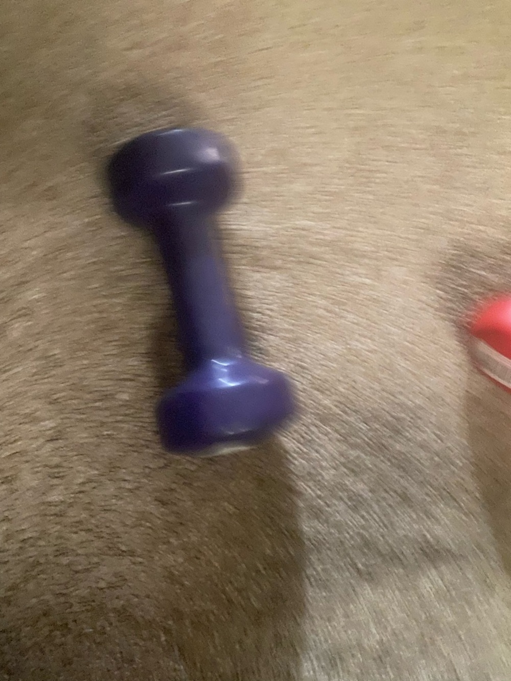 Colorfull weights - Picture 9 of 9